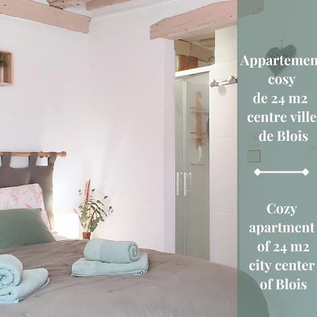 Blois City - Le Petit Saint Jean Extérieur photo